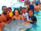 Grand Cayman 2013 "Swimming with Sting Rays"
